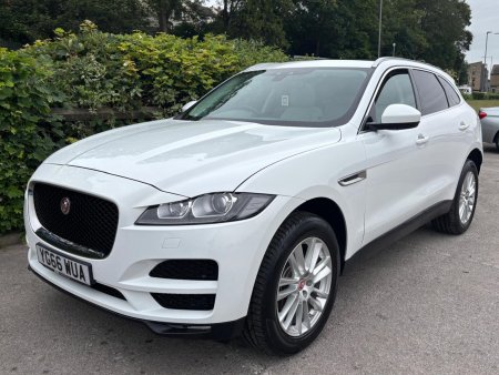 JAGUAR
